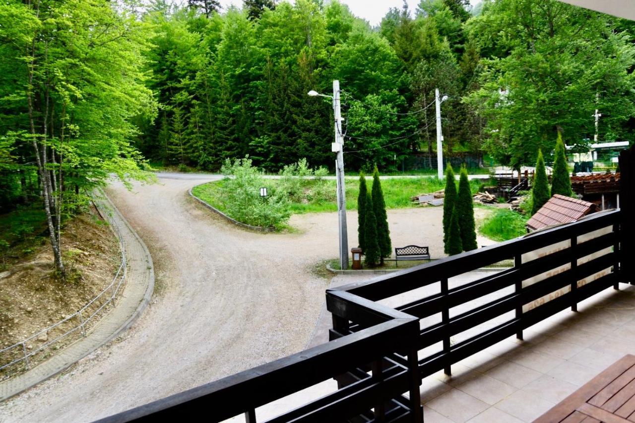 Apartament Stanca Piticului Sinaia