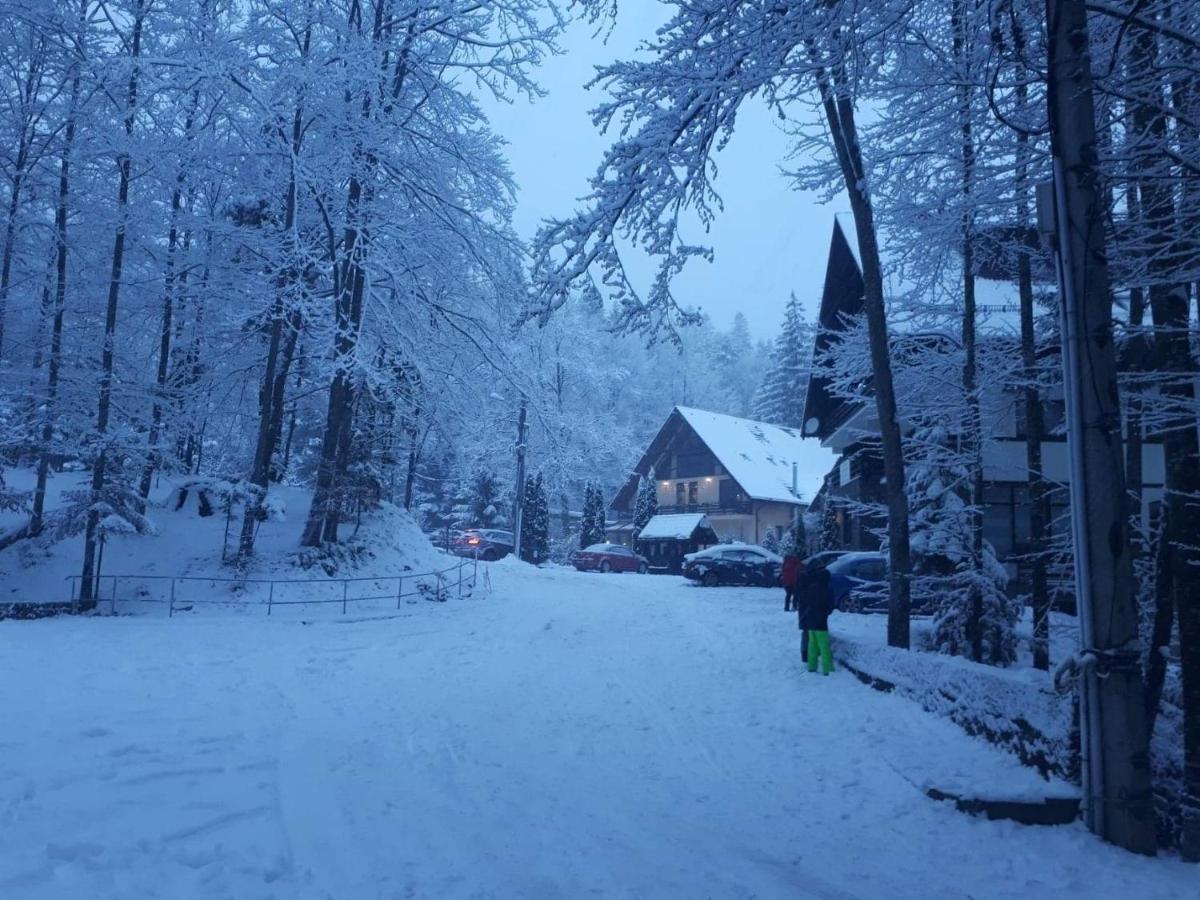 Stanca Piticului Sinaia
