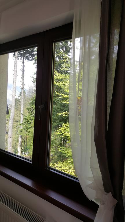 Apartament Stanca Piticului *