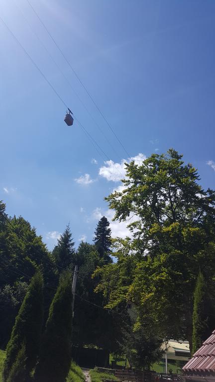 Apartament Stanca Piticului Sinaia